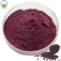 Berry powder maqui berry juice for maqui berry